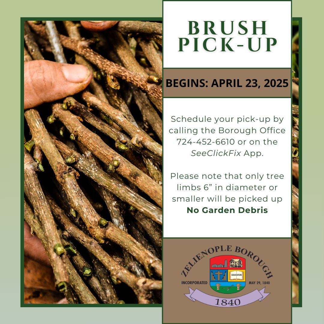 Brush Pick Up